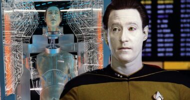 Star Trek Just Confirmed The Biggest Lie About Data's Human Form