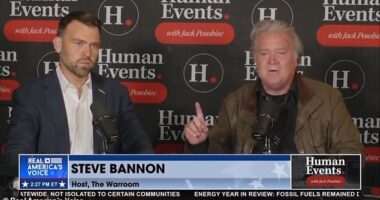 Former Trump White House adviser Steve Bannon warned Donald Trump not to pick 2024 hopeful Nikki Haley as his running mate because she is a 'viper'