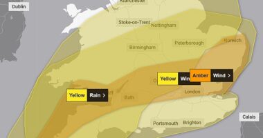 The Met Office has three warnings in place today: yellow for rain and wind, and amber for wind