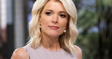 THIS --> Megyn Kelly Pulls ZERO Punches in Merciless Post About WHY the 'Media Bloodbath' Continues