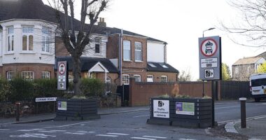 Locals in Enfield say that two LTN's have contributed to their street becoming a 'rat run' and crime hot spot (pictured, one of the LTNs)