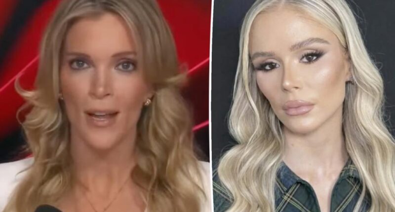 'The Boys' star Erin Moriarty claps back at Megyn Kelly after plastic surgery accusations