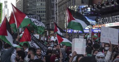 The Moment Father Gets Out of Car, Lets Loose on Anti-Israel Activists Blocking Him From Daughter – RedState