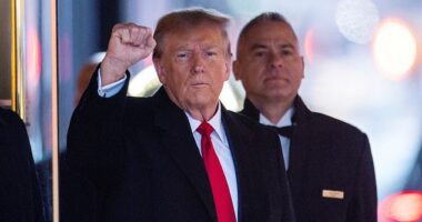Advisors are already suggesting names to former President Donald Trump on potential running mates, as he contends with Nikki Haley's continued challenge following his victories in Iowa and New Hampshire. Trump must decide whether to prioritize MAGA loyalty or look to expand his appeal on the margins while leading Joe Biden in polls