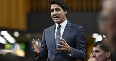 A poll released late last year showed that 72 percent of Canadians think Justin Trudeau should step down and allow his party to select a new leader ahead of the next election