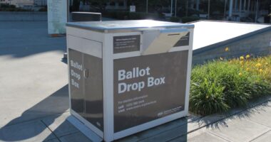 This AZ City Just Appointed A Ballot Harvester As Its Vice Mayor