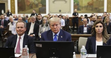 Trump Nearly Gets Kicked Out of E. Jean Carroll Trial – HotAir