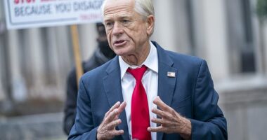 Trump White House adviser Peter Navarro was sentenced to prison for contempt of Congress after defying a subpoena and refusing to cooperate in the Capitol Riot investigation