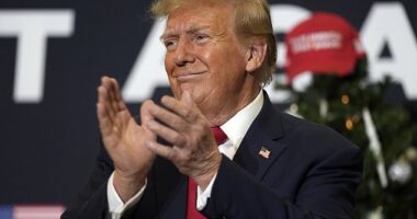 Former President Donald Trump has been endorsed by the entire House Republican leadership team, now that Rep. Tom Emmer has gotten behind his bid to return to the White House