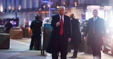 Former President Donald Trump said presidents need total immunity from prosecution even if they 'cross the line.' Otherwise, he said, it would lead to years of 'trauma'