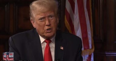 Former President Donald Trump expressed his desire for a significant economic downturn within the next 12 months in order to improve his election chances