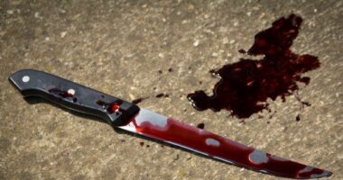 VIDEO - 'It's Scary': NYC Hospital Worker Accused in Queens Stabbing Spree