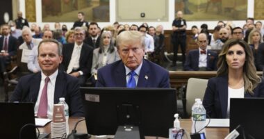 Victor Davis Hanson Shreds $83.3M Judgment in E. Jean Carroll Suit Against Trump—An 'Embarrassing Farce' – RedState