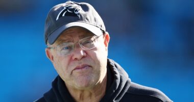 Video appears to show Panthers owner David Tepper throwing drink on opposing fan