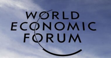 WEF Experts Say ‘Disinformation’ Is Number One Societal Risk