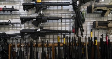 WOMP WOMP: Illinois Deadline to Register 'Assault-Style' Weapons Goes as Well as You'd Expect