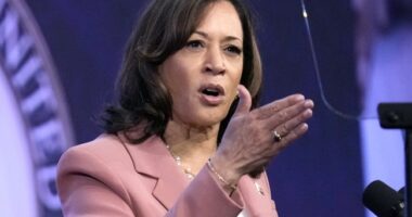 We Expect Kamala Harris to Pass Out Any Moment From Spinning Jobs Numbers So Hard