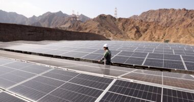 What's driving solar-energy stocks Canadian Solar, SunRun, Enphase Sunnova