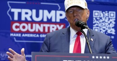 Whether You're Pro- or Anti-Trump, Don't Get Your Hopes Up – RedState
