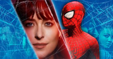 'It Would Be Cool To Work with Spider-Man' Dakota Johnson on Potential Madame Web Crossover