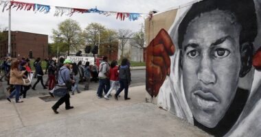 'Propaganda is Not History': Huge Account Claiming to Be Source of Black History Spreads Trayvon Myth