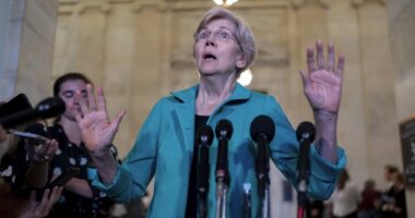 'Stop Trying to Control Everything, Fauxcahontas.' Elizabeth Warren Vows to Protect Snack Quotas
