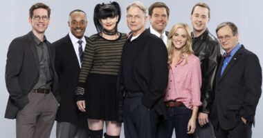 'Truly Amazing': NCIS Star Reacts to Return in Ducky Tribute Episode