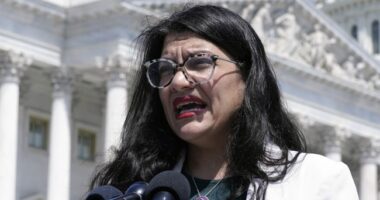 'You Are Heinous': Rashida Tlaib Votes Present on Resolution Condemning Hamas Rape