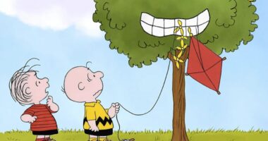 10 Funniest Peanuts Comics Where Charlie Brown Takes On The Kite-Eating Tree