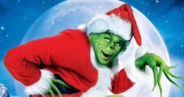 Is a Sequel in the Works?