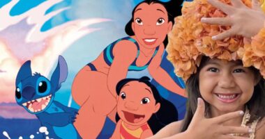 Everything You Need to Know