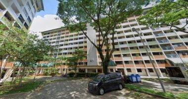 2,000 flats at Tanglin Halt to be refurbished & rented to families awaiting BTOs from 2025: HDB - Mothership.SG