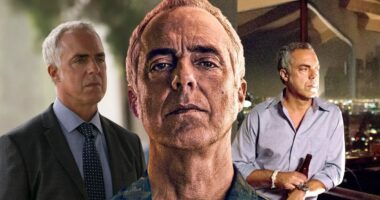 4 Reasons Why Bosch Was a Huge Success
