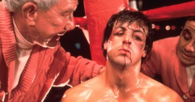 5 Roles Sylvester Stallone Nailed After His Comeback Flick