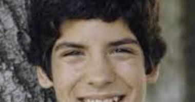 A Journey Through Hollywood Stardom