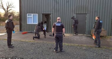 A drugs-busting police unit armed with chainsaws, a massive cannabis farm and a mysterious blaze: What IS going on in the village that inspired The Archers?