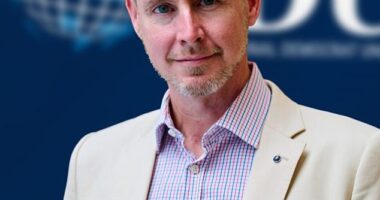 Daniel Hannan, above, points out that a major survey of 13,534 ­voters, commissioned by Conservative donor Lady McAlpine, found the ­population is less woke than almost all MPs