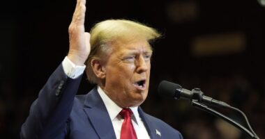 ABC News Head Accuses Trump of Racism and Completely Exposes Herself – RedState