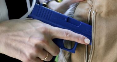 ALL the Eye Rolls - Representative Lorena Garcia of Colorado has Thoughts About Concealed Carry
