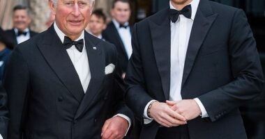 Prince Harry with his father King Charles at an event in London in 2019
