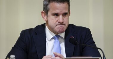 Adam Kinzinger Calls Trump 'Weak Weak Weak Weak Small Weak Tiny Weak Meager Weak'