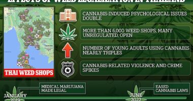 Thailand has faced many repercussions after dropping weed as a controlled substance, which is leading to the country now tightening up its laws
