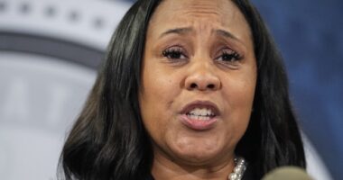 And Here We GO! Atty. Ashleigh Merchant Explaining How She's Going to LEVEL Fani Willis is Straight-FIRE