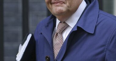 Former Minister Sir John Hayes (pictured) said the government should be focussing on whether the armed forces are up to the job