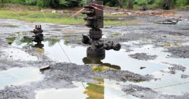 Army discovers 40 oil wells in Rivers community