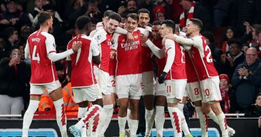 Arsenal continued their bright form with an emphatic win over Newcastle at the Emirates