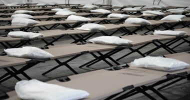 As Illegals Push Chicago to the Breaking Point, Illinois Doubles Down on 'Sanctuary' Status – RedState