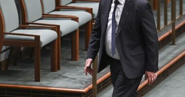 Barnaby Joyce arrived at parliament almost an hour after question time began on Monday, ahead of a Nationals party room meeting