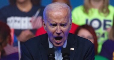 Biden Calls Trump 'Existential Threat' as Anti-Israel Protesters Block 5th Avenue