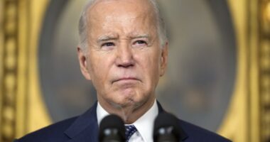 Biden Campaign's Desperate Race-Baiting Attack on Trump Gets Ripped to Shreds by the People – RedState